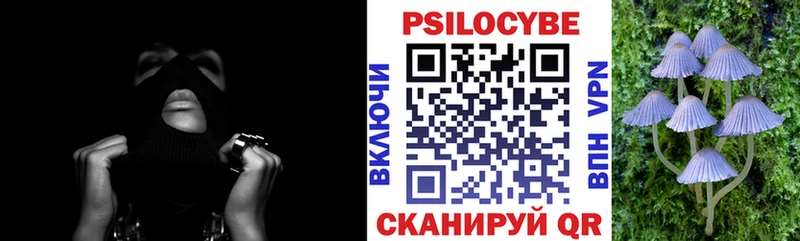 Купить  Сухиничи  Псилоцибиновые грибы Cubensis 